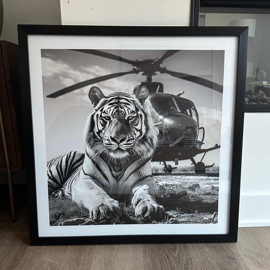 "FELIX" 30"x30" Gallery Framed Print