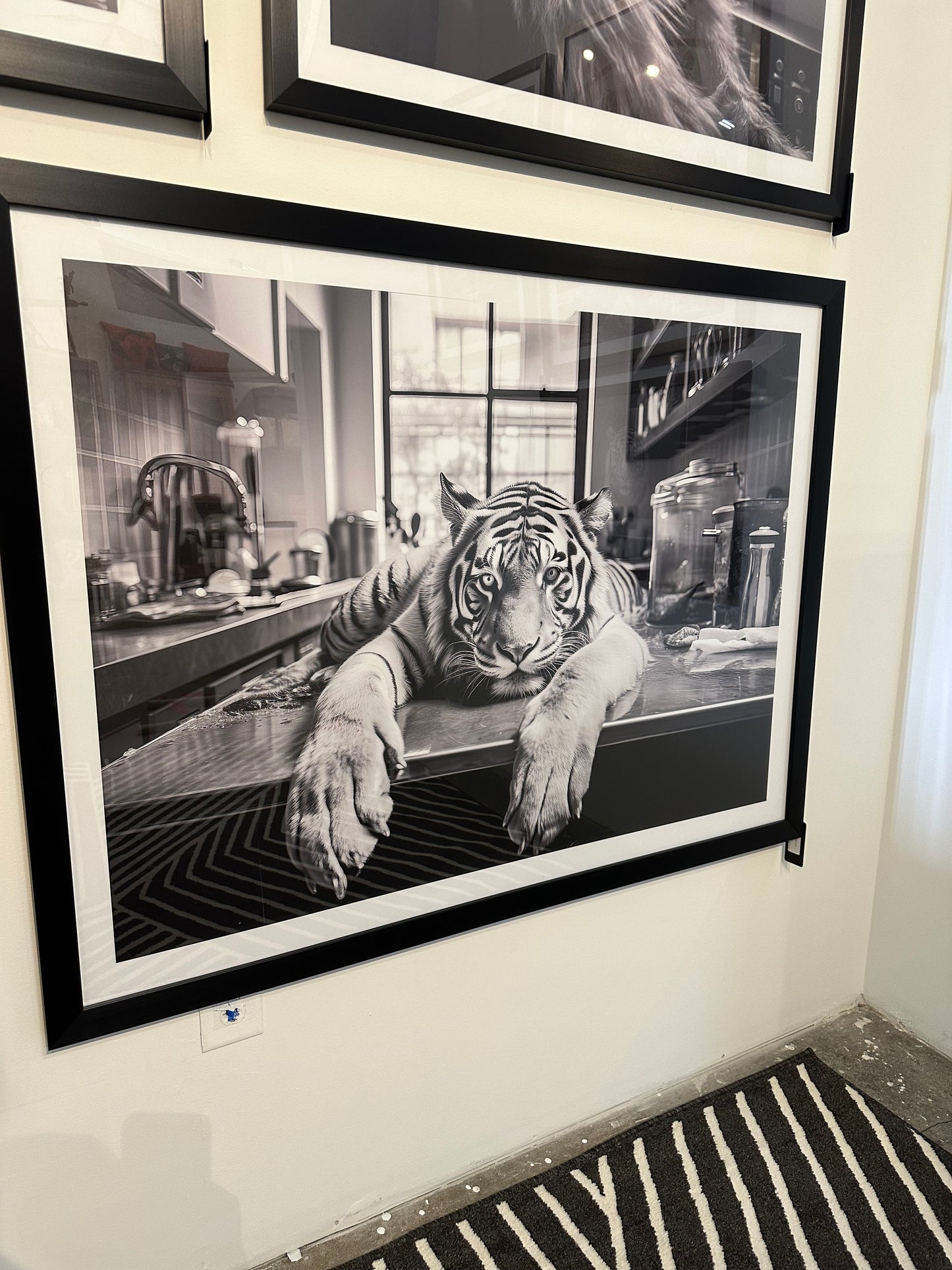 "FREDDY" 36"x48" Gallery Framed Print